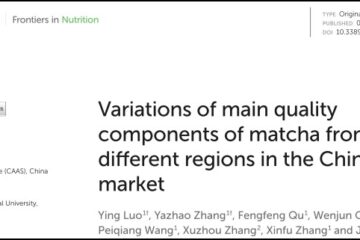 中國市場抹茶主要品質成份的差異