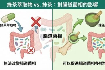 【論文研討】綠茶萃取物無法改變腸道菌相，但抹茶可以：兩項人類臨床試驗的比較分析
